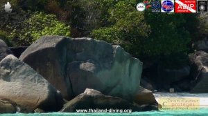 Explorez les Merveilles Sous-marines de la Thaïlande avec le centre de plongée  5 étoiles Dive Acadé