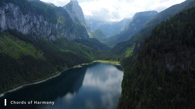 Избавьтесь от ненужных мыслей с помощью снимающей стресс музыки 🌿 Расслабляющие звуки для сна