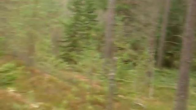 Ольшаники Окрестности