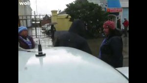 В Вольске кавказец назвал русских свиньями