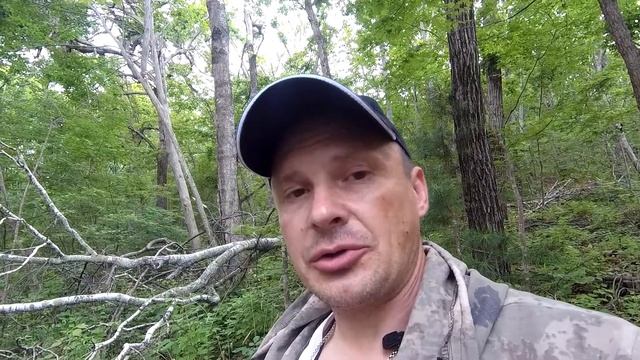 Товары для охоты с Алиэкспрес смотреть онлайн