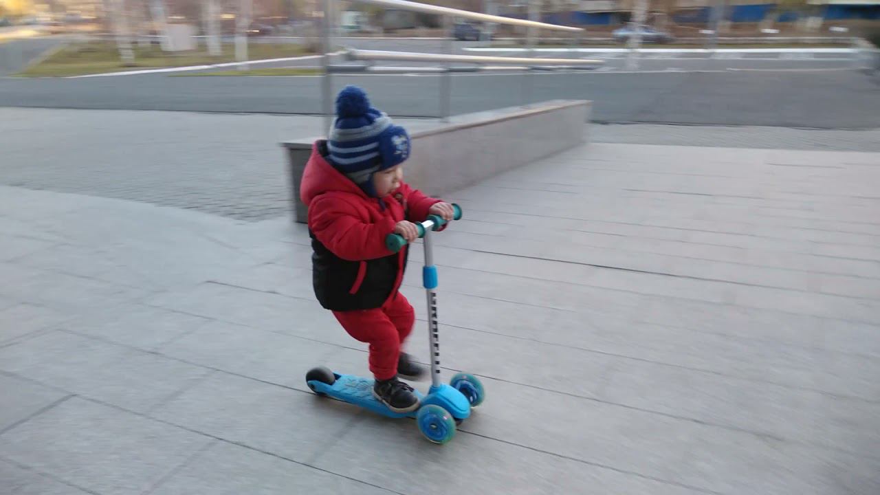 Медведь на самокате смотреть онлайн