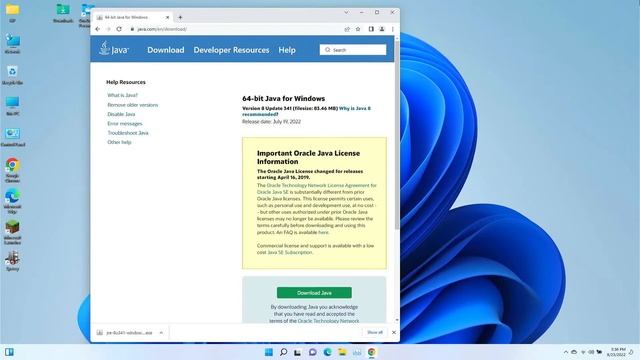 Installing Java Runtime Environment in Windows 11 смотреть онлайн