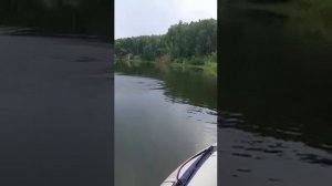 Щука крокодил на квх в даурске))))