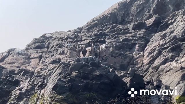 сплав Аравийское море Оманский залив