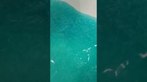 Шиммер для ванны.
