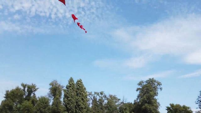 ЛЕТУЧИЙ ЗМЕЙ ИЗ КУРТКИ ! Такого мы не ожидали ! смотреть онлайн