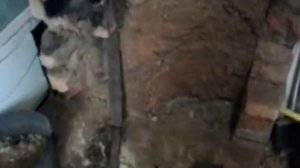 котел установка