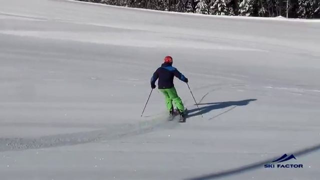 Горные лыжи. Последовательность обучения стандарт ISIA. Скифактор. смотреть онлайн