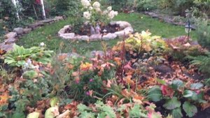 Прогулка по любимому вечернему саду