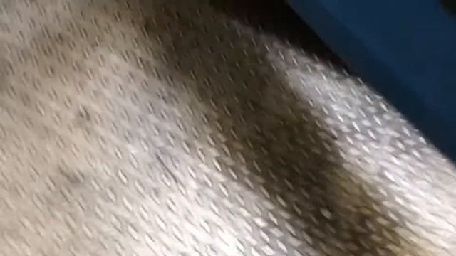 Разборка Opel - Corsa C 2000-2006, 1.2 Инжектор (VIN: W0L0XCF0824208500) 35726 смотреть онлайн