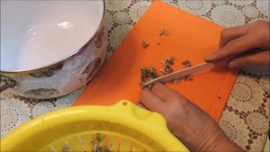 Цетрария ? или молочный суп ? из исландского мха при лечении пневмонии и туберкулёза. Milk soup.