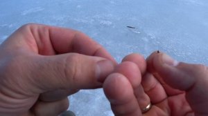 Уклейка со льда, Можайка