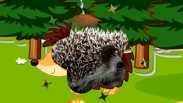 Развитие речи для детей Учимся говорить Развивающий мультик про животных для малышей Звуки животных смотреть онлайн