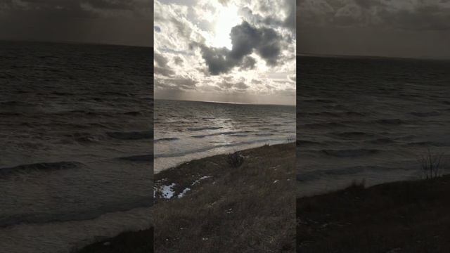 Черное море сегодня волна есть