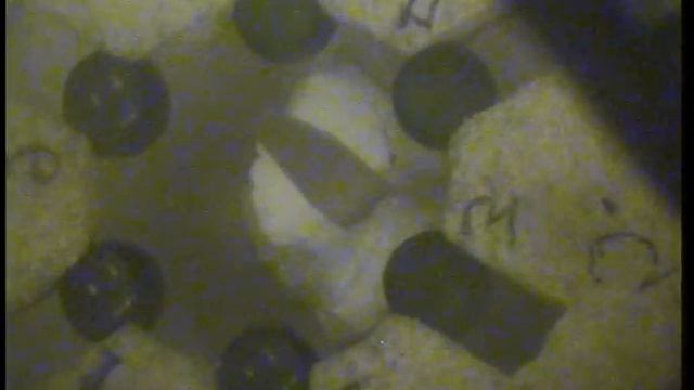 Дубна. Эксперимент. 2011-02-18. Часть 32 смотреть онлайн