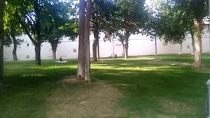 Астрахань. Парк им. Ленина.