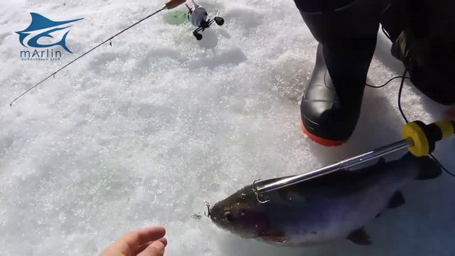 Форель на блесну смотреть онлайн