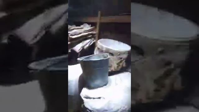 Белоголовая команда ,бычки на откорме часть 3