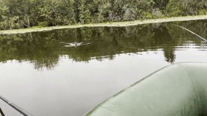 ЛОВЛЯ НА ПОПЛАВОК С ЛОДКИ