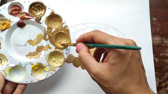 Как нарисовать панцирь черепахи? смотреть онлайн