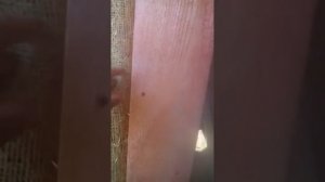 дом из соломенных панелей подводные камни