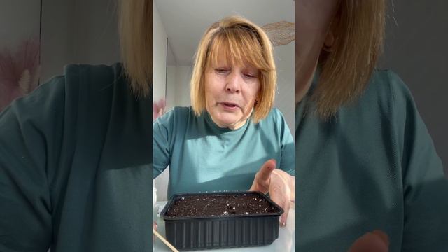 Посев семян петуний для новичков. Наглядный и подробный показ. смотреть онлайн