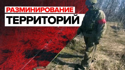 Инженерные подразделения ВС РФ проводят разминирование в Сумской области — видео