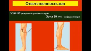 BioTrEM при заболеваниях сердечно-сосудистой системы