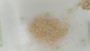 Уборка в клетке хомяка / давно не убирал / генеральная уборка у хомяка / уборка в контейнере хомяка