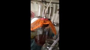 Самогонный аппарат своими руками #60. Купить самогонный аппарат недорого