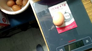 Вес первого яйца от несушек Ломан Браун. Яйцо сюрприз.