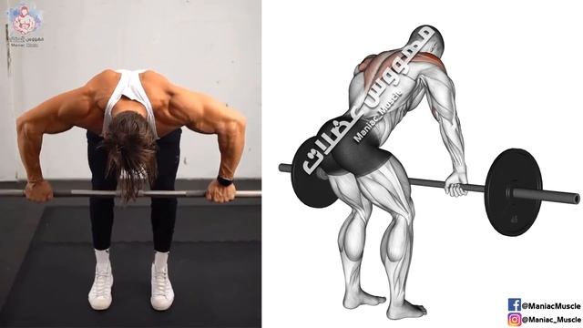 How To Build Your Shoulder with Barbell - تمارين الكتف