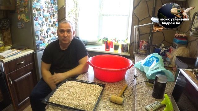 Кальций для кур . Яичная скорлупа в дело.