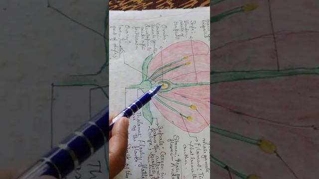 Reproduction In Plants, Part III, ICSE, CLASS VIII смотреть онлайн