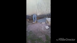 Как нажрался я вчера