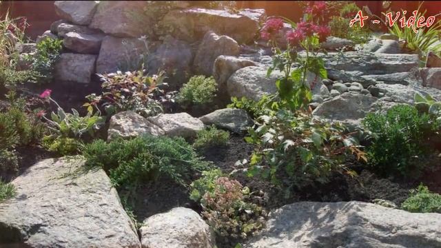 Примеры красивого оформления садовых участков / Examples of beautiful design of garden plots смотреть онлайн