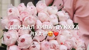 Дала декъала йойла йиша