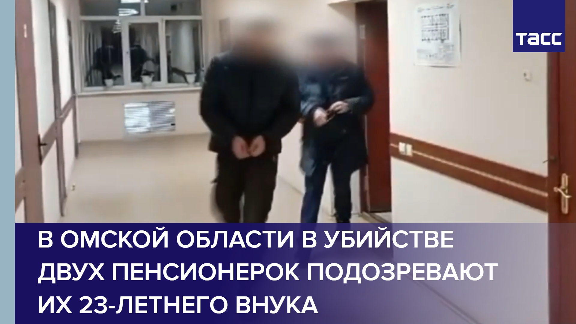 В Омской области в убийстве двух пенсионерок подозревают их 23-летнего внука #shorts