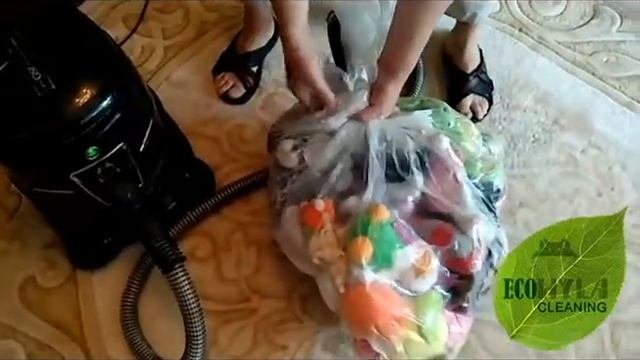 Вакуумная чистка игрушек. Химчистка на дому, Москва и область @ecohyla