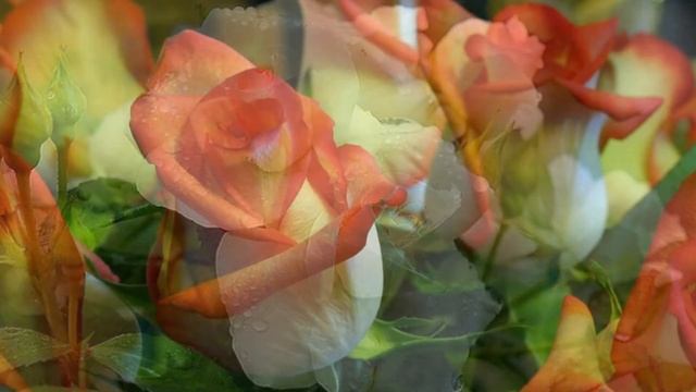 Волшебный мир цветов смотреть онлайн