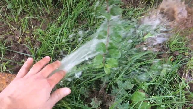 Podkapaev.ru Деревня Мишнево, двойное дно в колодце, вонючая вода. смотреть онлайн