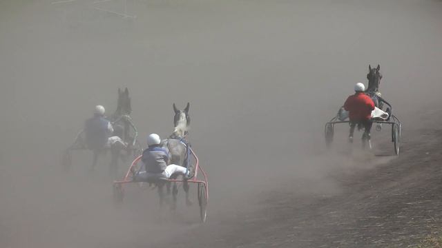 20.06.2020 г. 1-й заезд Приз Морского Прибоя смотреть онлайн