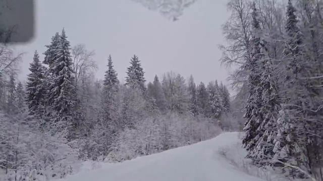 Зимняя дорога из Морщихинской в Масельгу. Кенозерский национальный парк. смотреть онлайн