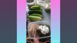 Меню на Целый день