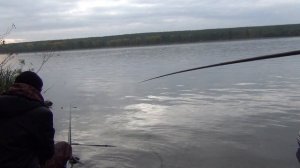 Рыбалка на Оби в Ташаре!