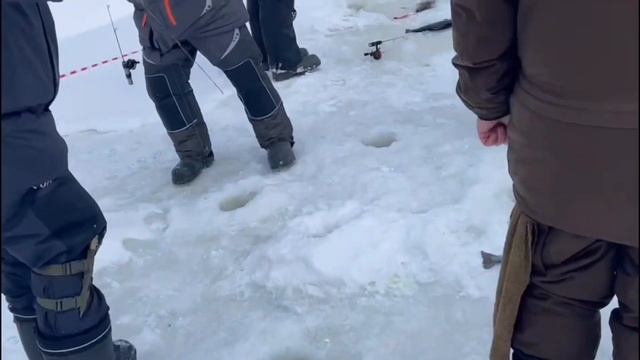 Рыбалка в Красногорске.BigCarp.Ловля форели.Рыбалка на платнике.Беседки,отдых,рыбалка,досуг