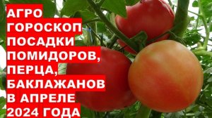 Агрогороскоп посадки помидоров, перца в апреле 2024Agrohoroscope for planting tomatoes in April 2024