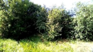 ,,У ЦЕРКВИ СТОЯЛА КАРЕТА,, ПЕСНЯ.