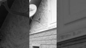 Структурная штукатурка с теплоклея(+цокольный сайдинг)